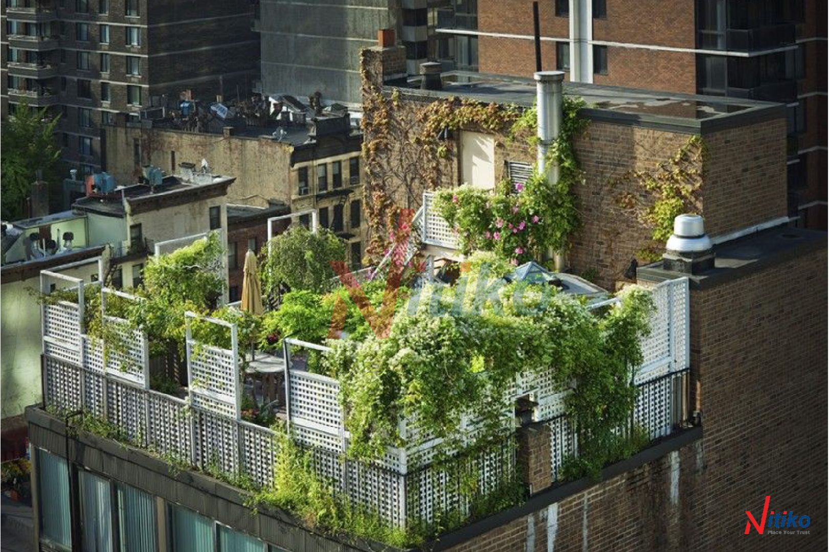 4 lợi ích của vườn xanh trên mái và sân thượng