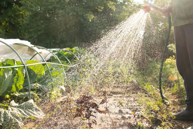 Những kinh nghiệm hữu ích khi chọn bộ cuộn tưới phù hợp