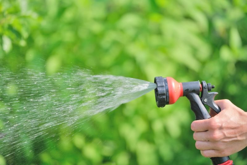 Các Nguyên Tắc Cơ Bản Trước Khi Thực Hiện Tưới Nước Cho Cây Trồng