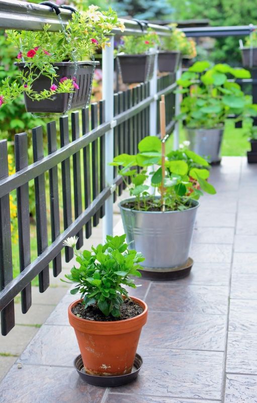 Mẹo chọn chiều dài vòi tưới Holman phù hợp với diện tích vườn