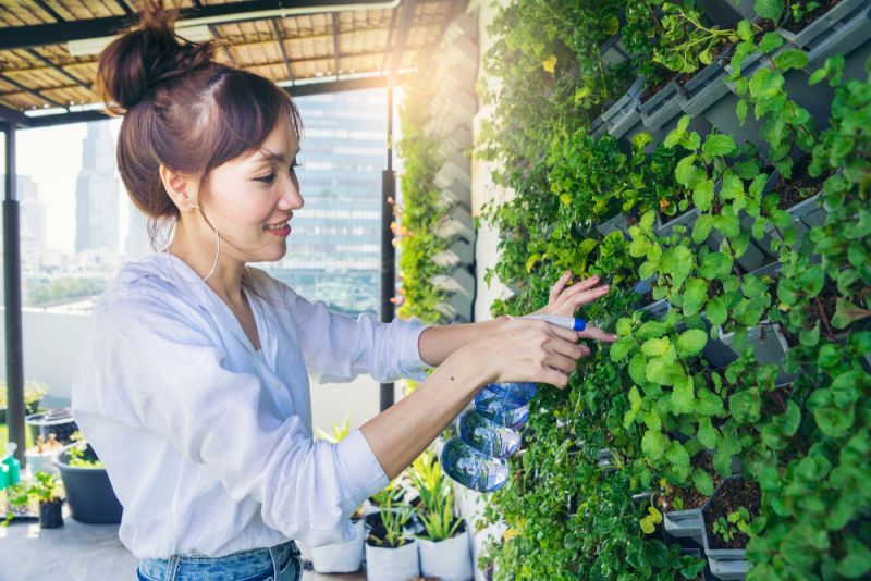 Trồng rau bằng module vườn tường đứng