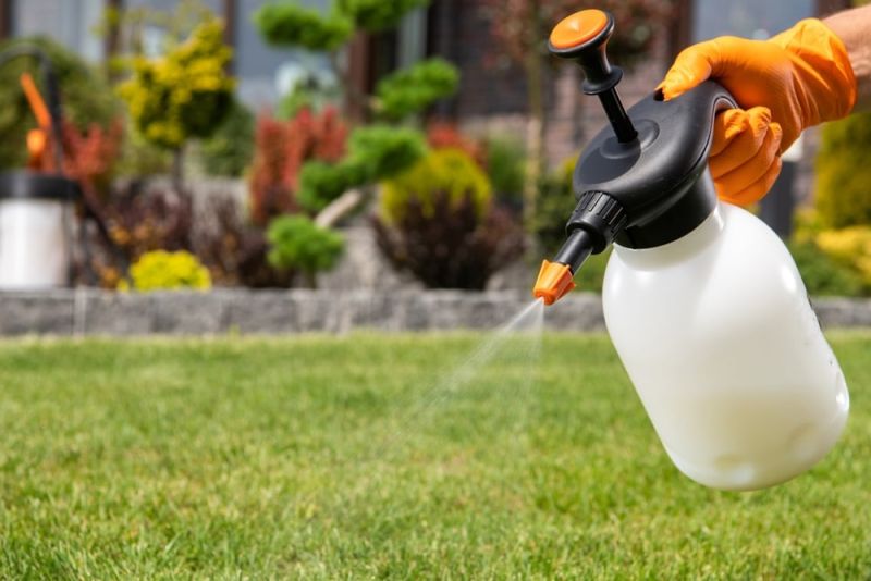 Bình tưới bơm áp suất cầm tay