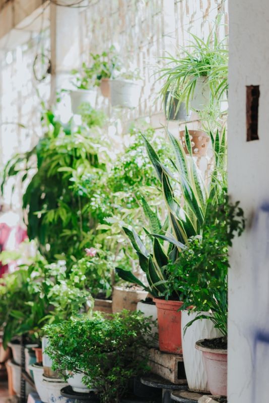 Bỏ túi ngay 12 mẹo tưới cây tiết kiệm nước cho vườn nhà