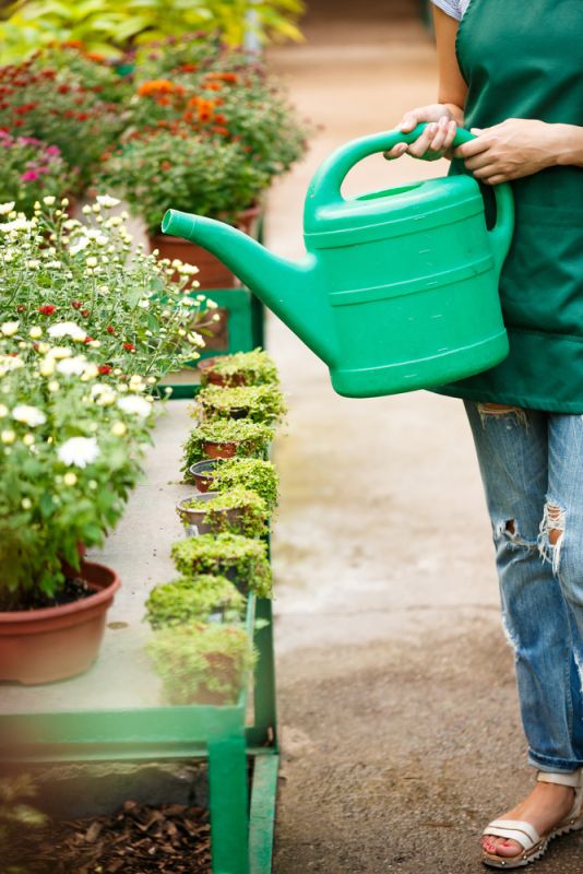 So sánh bộ cuộn ống tưới và tưới thủ công về hiệu quả sử dụng và chi phí