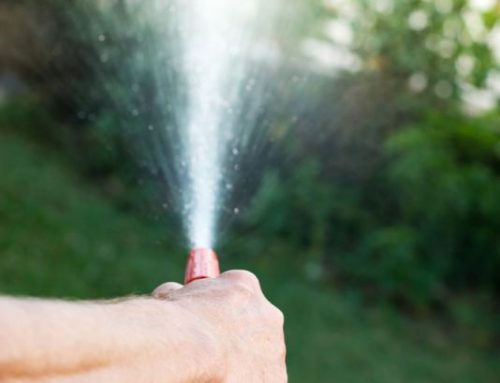 Cách chọn vòi phun tưới cây cầm tay phù hợp cho người làm vườn