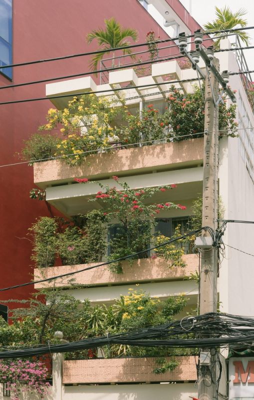 Kỹ thuật trồng cây trên sân thượng không bị thấm dành cho nhà phố